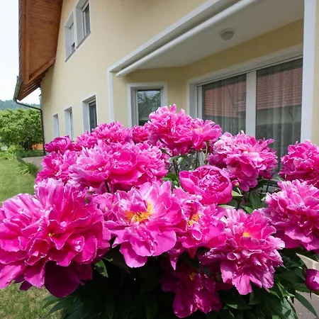Apartment Apartmaji Trentelj
