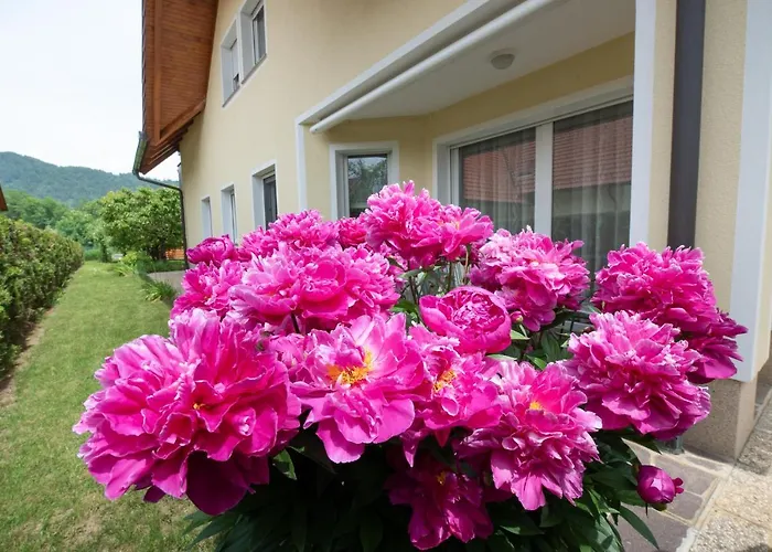 Apartamento Apartmaji Trentelj